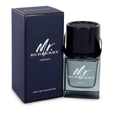 mr burberry blue indigo|mr Burberry indigo 50ml.